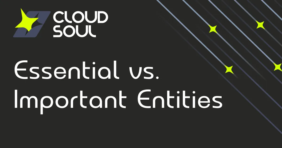 Essential vs. Important Entities: Classification, Obligations, and Supervision